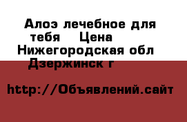 Алоэ лечебное для тебя. › Цена ­ 250 - Нижегородская обл., Дзержинск г.  »    